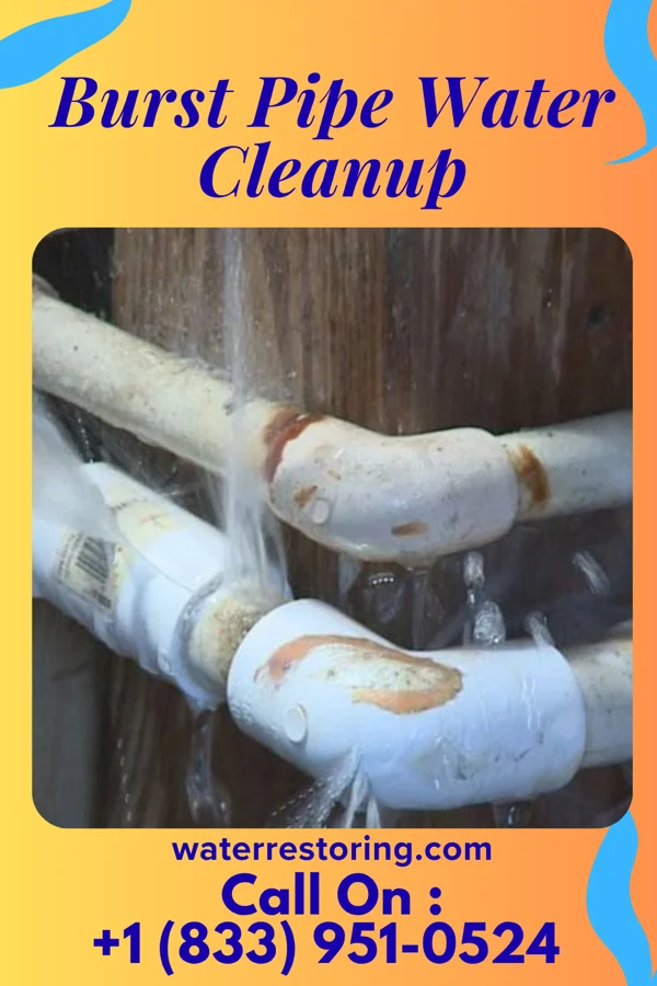 Burst Pipe Water Cleanup in Garysburg, NC