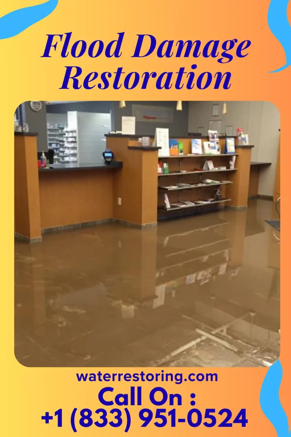 Flood Damage Restoration in Garysburg, NC