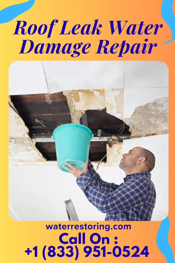 Roof Leak Water Damage Repair in Garysburg, NC