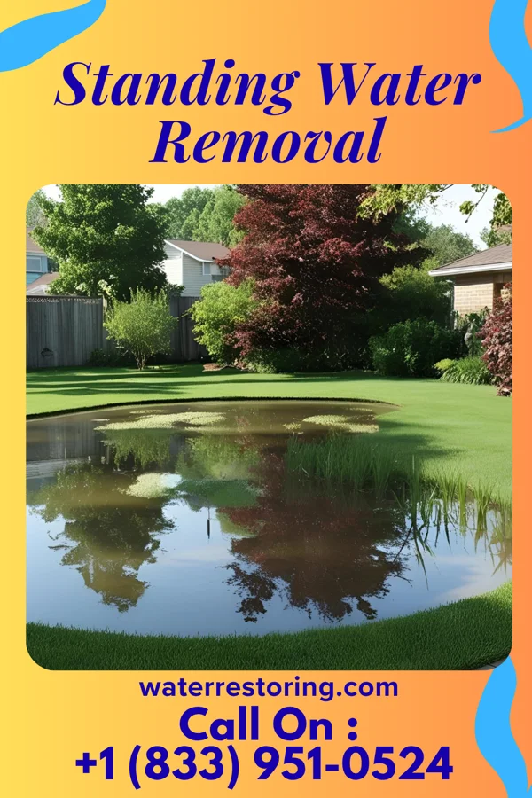 Standing Water Removal in Garysburg, NC